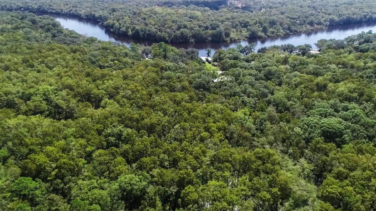 104 NE 304th Avenue, Old Town, FL 32680 Photo