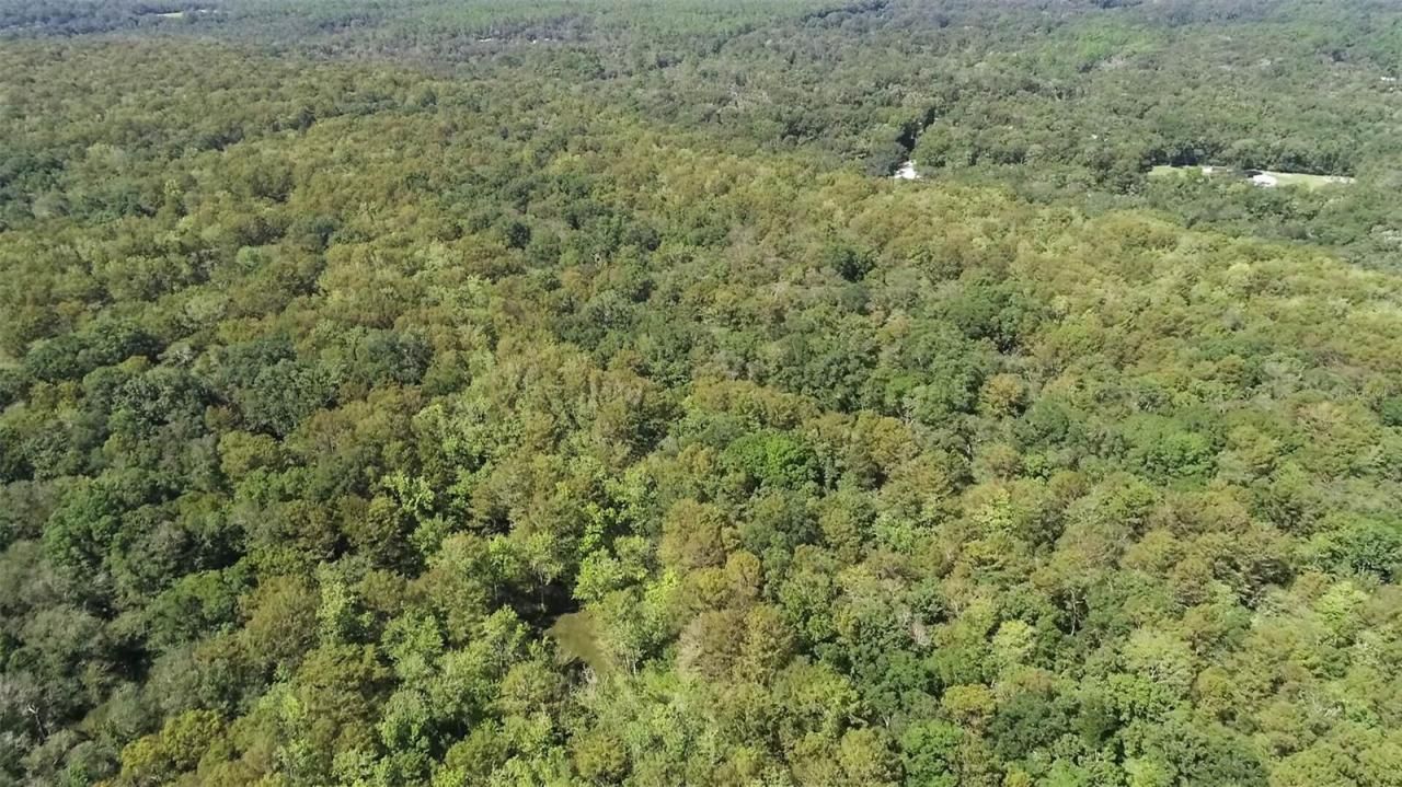 104 NE 304th Avenue, Old Town, FL 32680 Photo