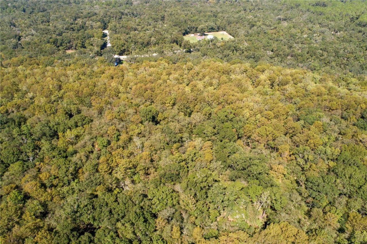 104 NE 304th Avenue, Old Town, FL 32680 Photo