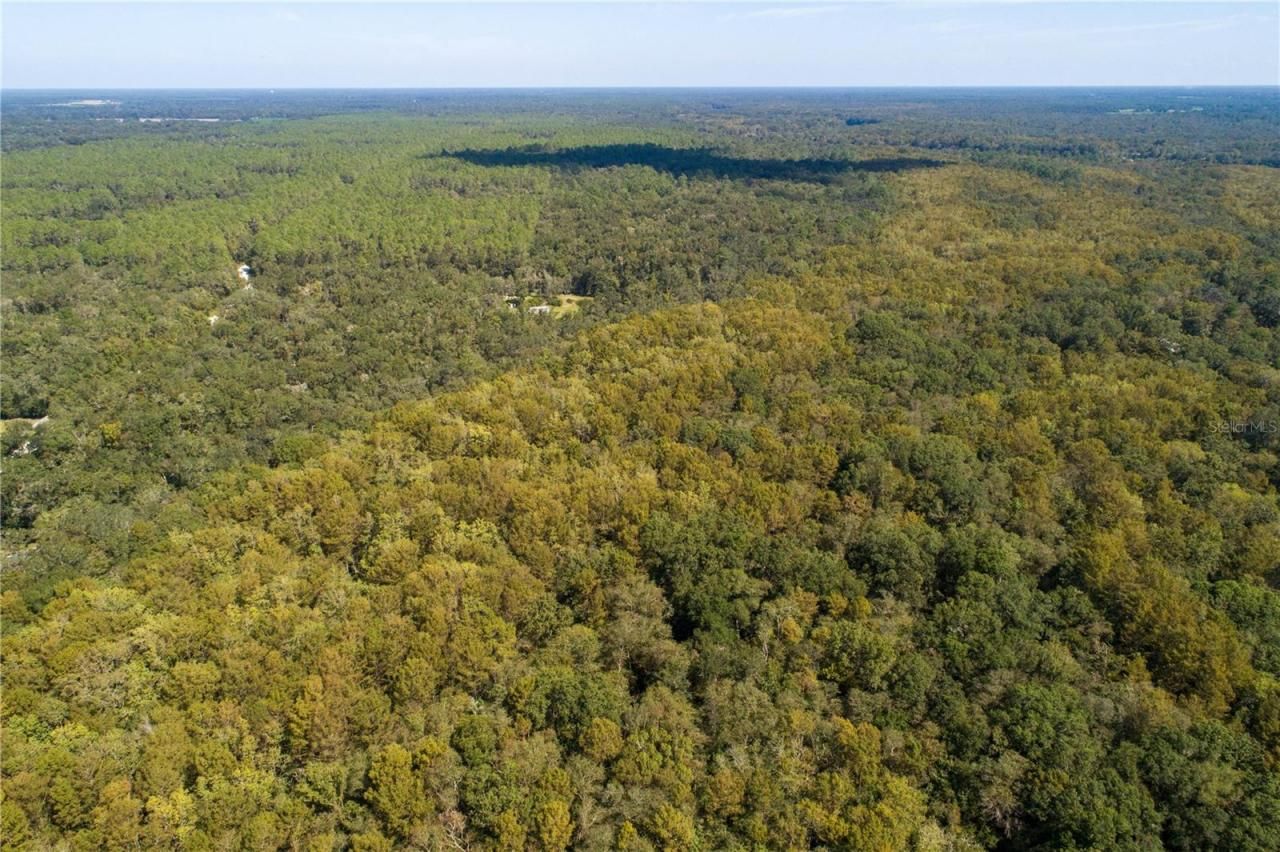 104 NE 304th Avenue, Old Town, FL 32680 Photo