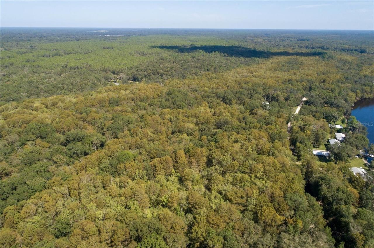 104 NE 304th Avenue, Old Town, FL 32680 Photo