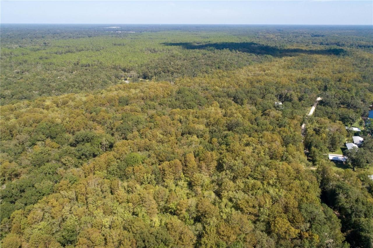 104 NE 304th Avenue, Old Town, FL 32680 Photo