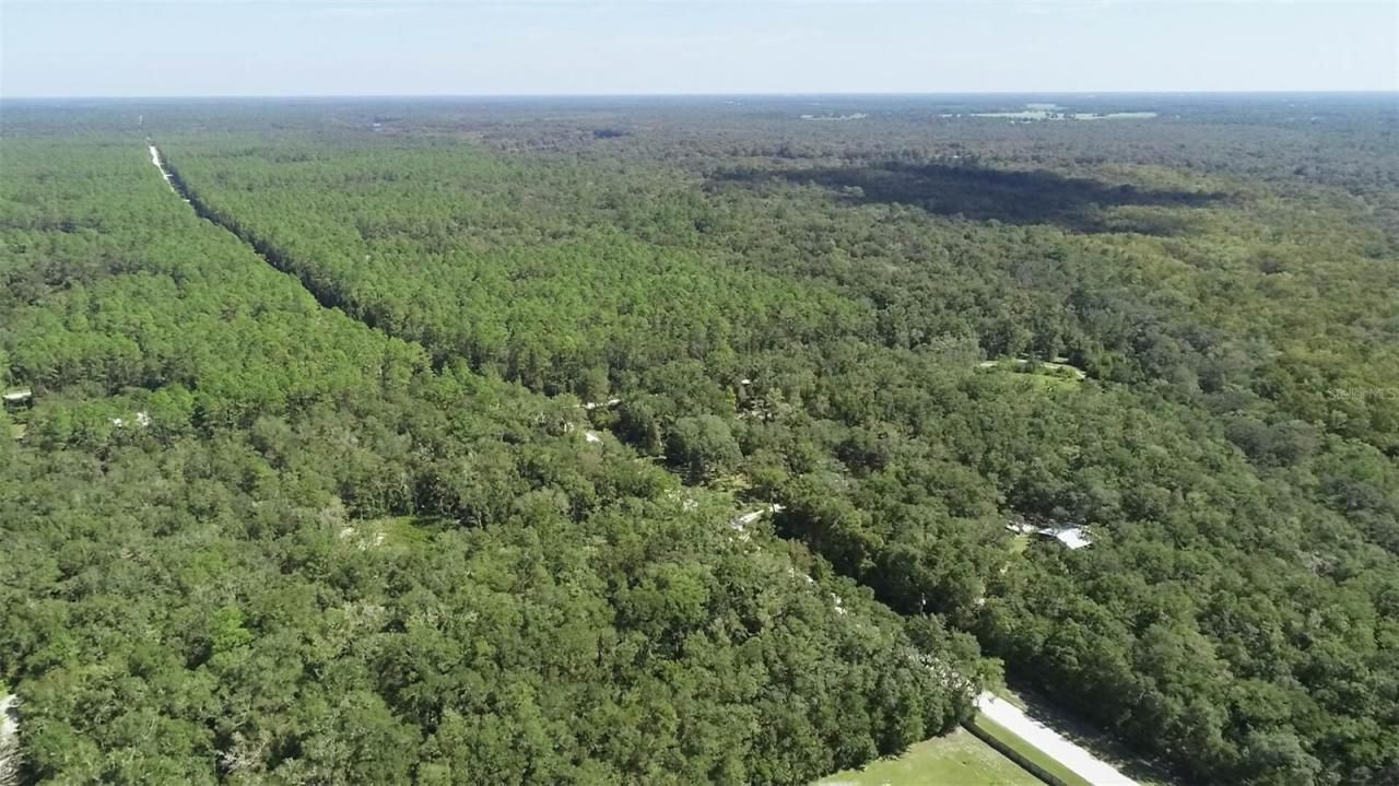 104 NE 304th Avenue, Old Town, FL 32680 Photo