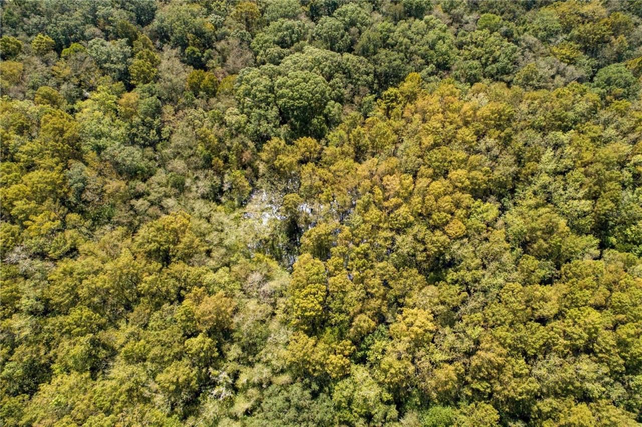 104 NE 304th Avenue, Old Town, FL 32680 Photo