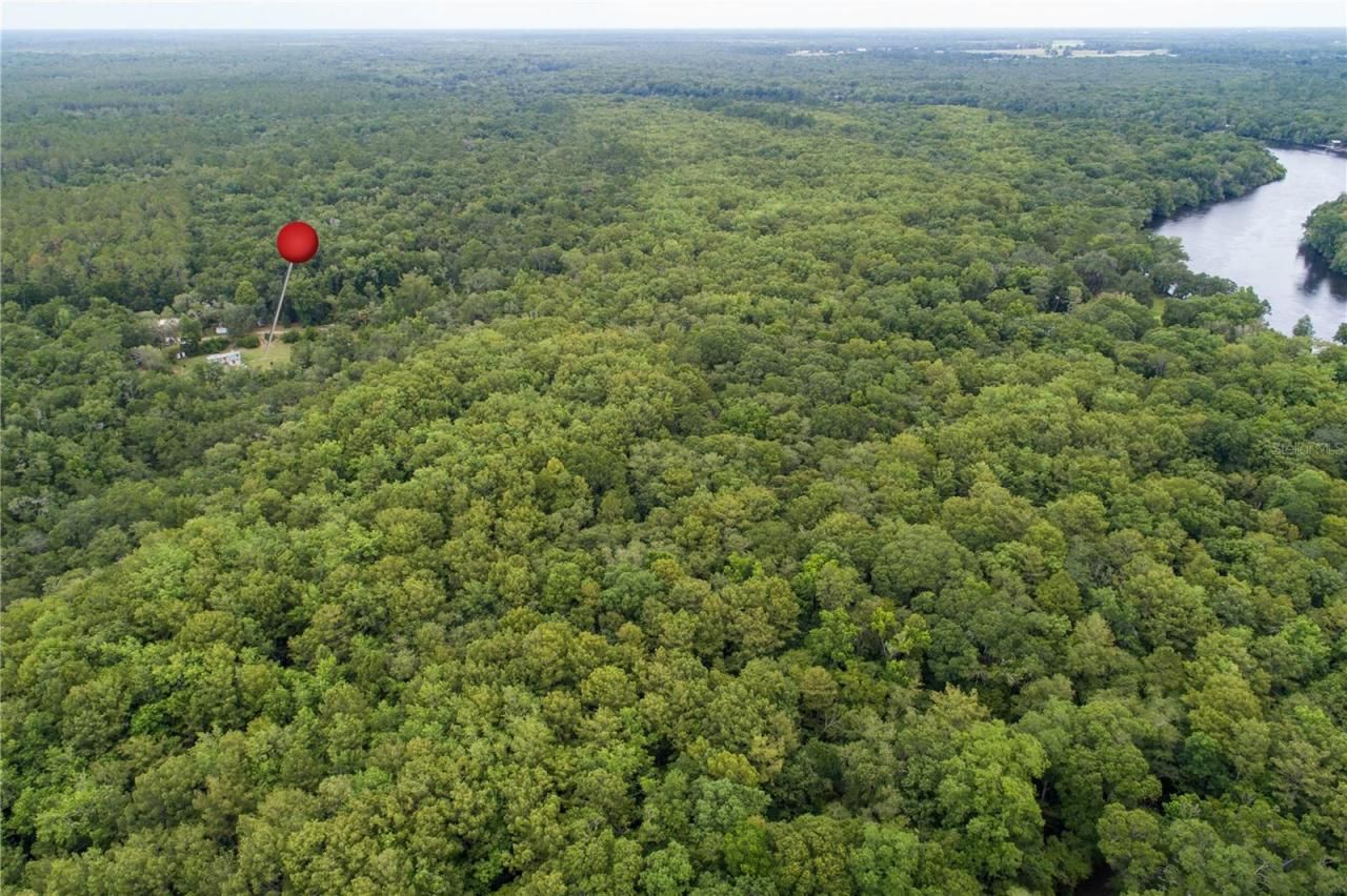 104 NE 304th Avenue, Old Town, FL 32680 Photo