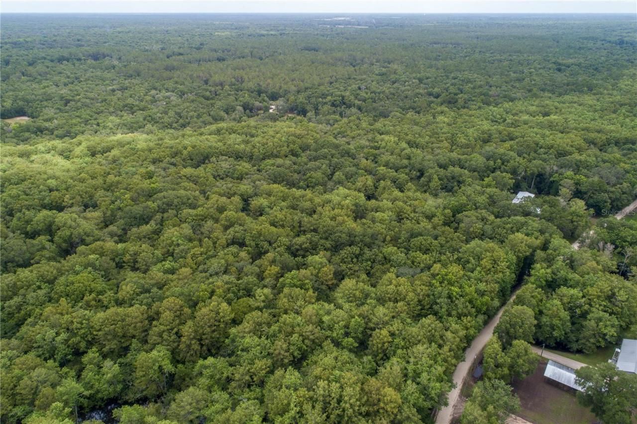 104 NE 304th Avenue, Old Town, FL 32680 Photo