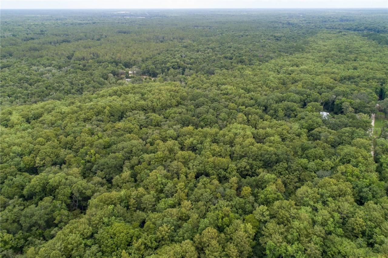 104 NE 304th Avenue, Old Town, FL 32680 Photo