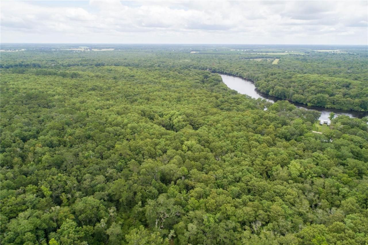 104 NE 304th Avenue, Old Town, FL 32680 Photo