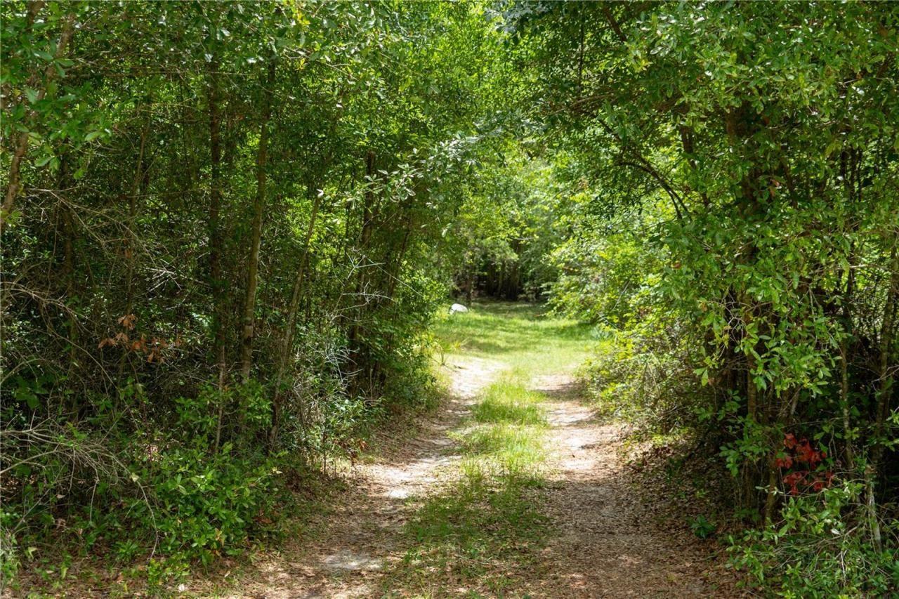 104 NE 304th Avenue, Old Town, FL 32680 Photo