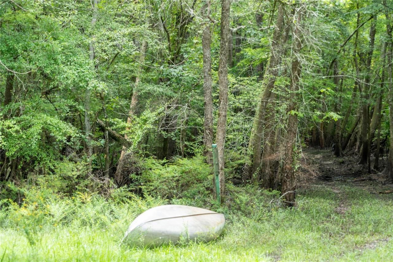 104 NE 304th Avenue, Old Town, FL 32680 Photo