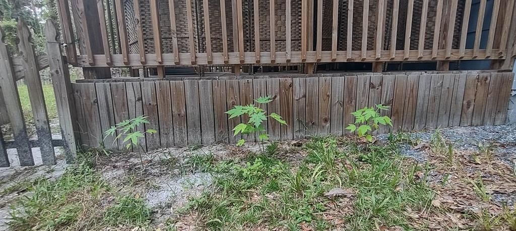 5403 Highway 40 W, Yankeetown, FL 34498 Photo