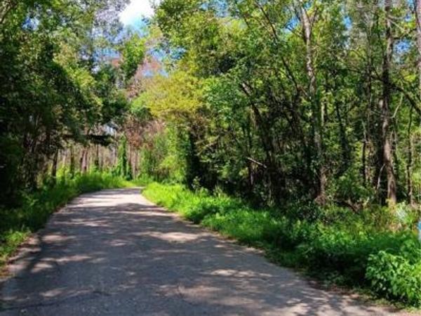 TBD LOUISE Street, Port Vincent, LA 70726