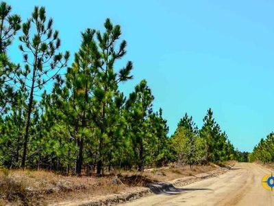 5659 Mt Pisgah Rd, Bethune, SC 29009