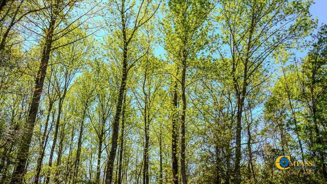 5659 Mt Pisgah Rd Photo 11