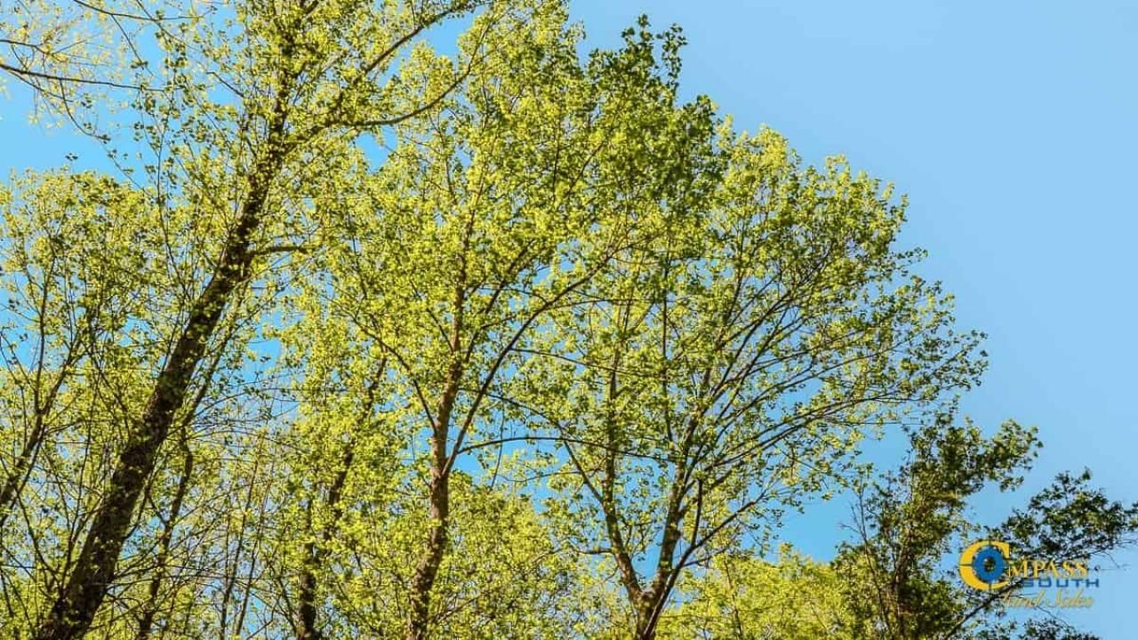 5659 Mt Pisgah Rd Photo 12