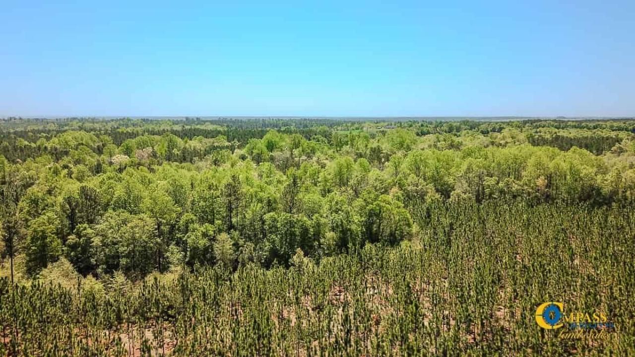 5659 Mt Pisgah Rd Photo 13