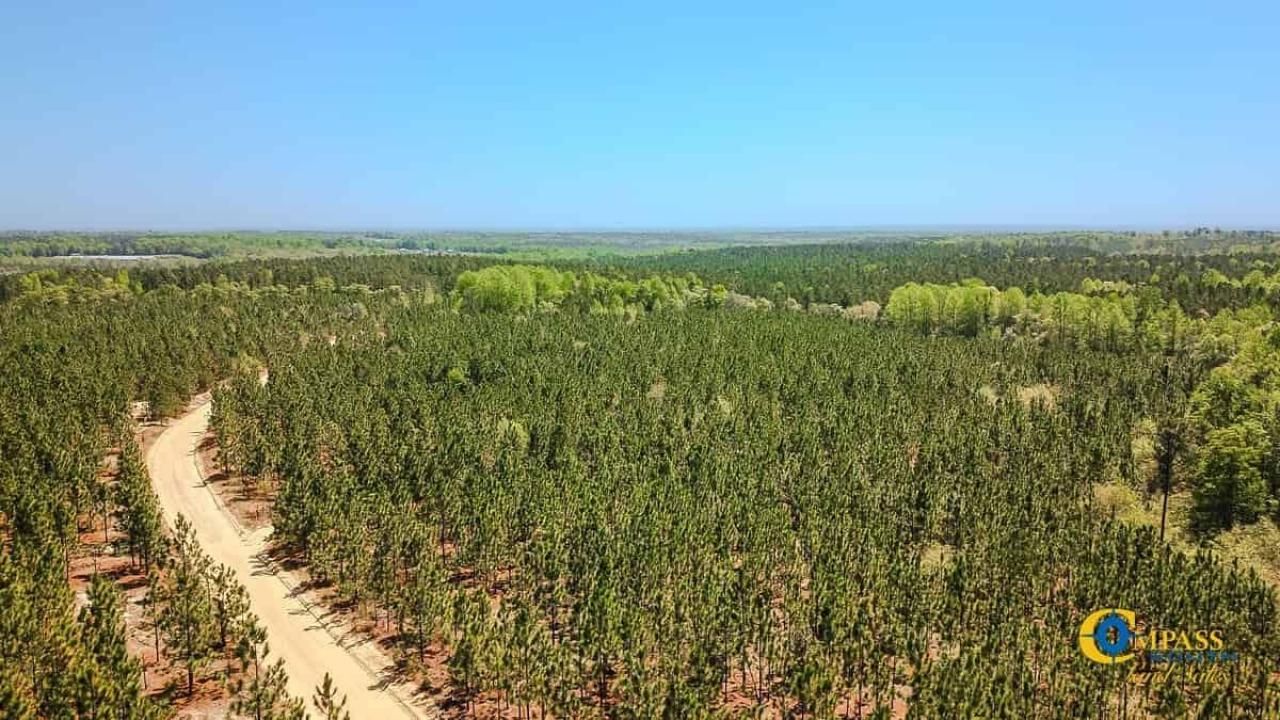 5659 Mt Pisgah Rd Photo 14