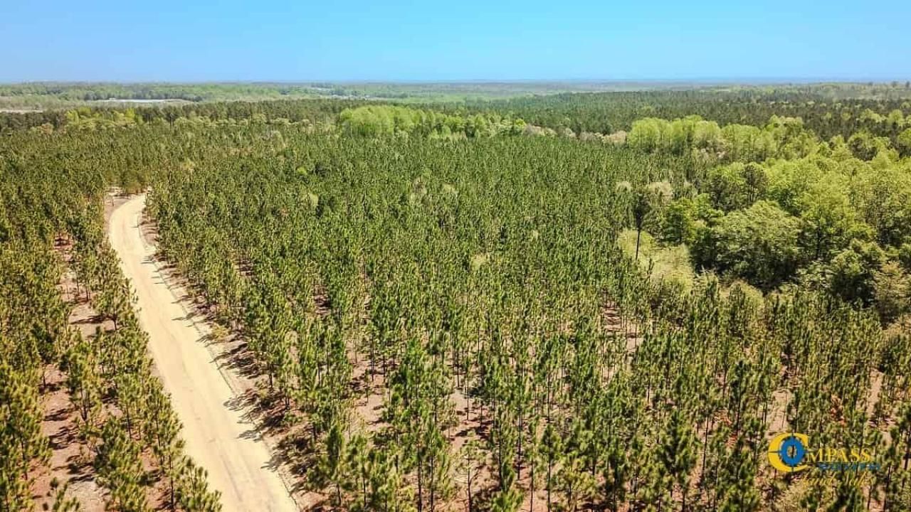 5659 Mt Pisgah Rd Photo 15