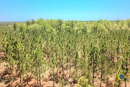 5659 Mt Pisgah Rd photo 4