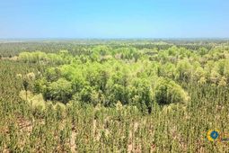 5659 Mt Pisgah Rd photo 4