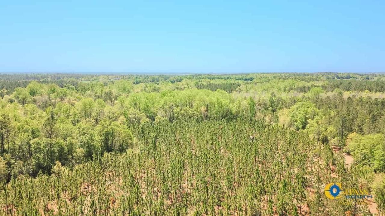 5659 Mt Pisgah Rd Photo 4