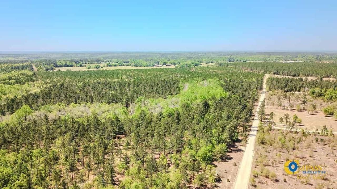 5659 Mt Pisgah Rd Photo 5