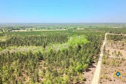 5659 Mt Pisgah Rd photo 4