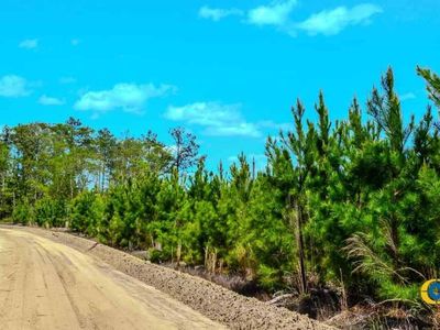 5659 Mt Pisgah Rd, Bethune, SC 29009