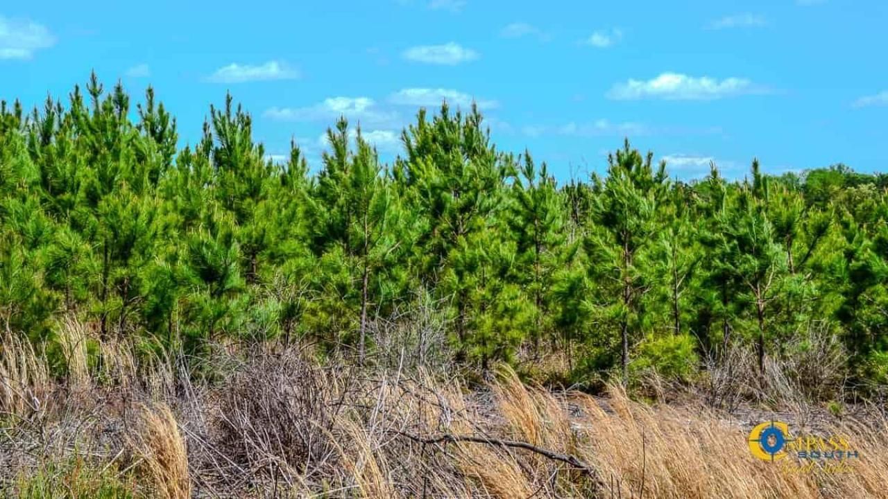 5659 Mt Pisgah Rd Photo 4