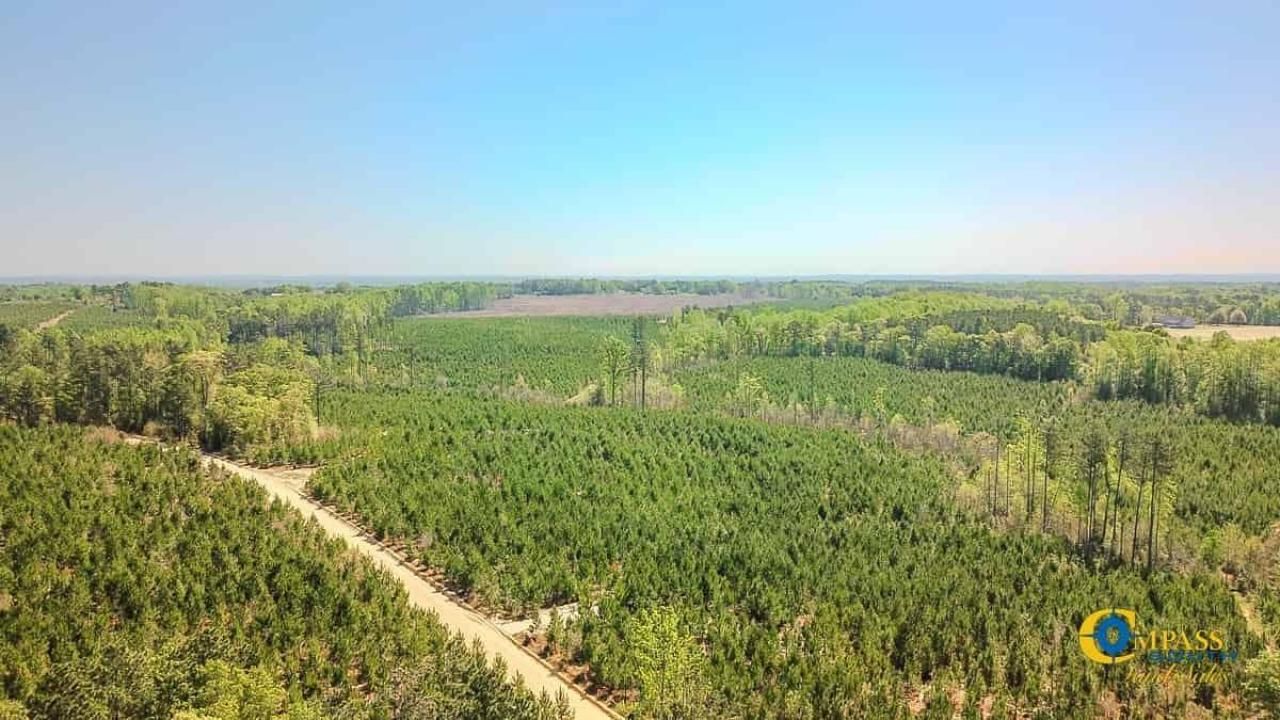 5659 Mt Pisgah Rd Photo 6