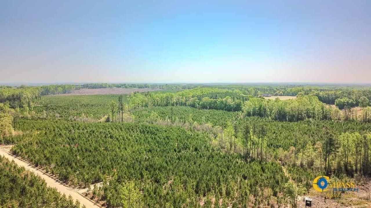 5659 Mt Pisgah Rd Photo 7