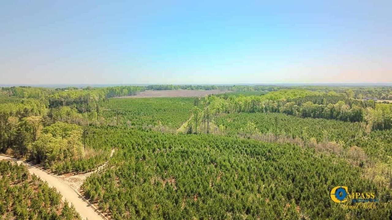 5659 Mt Pisgah Rd Photo 8