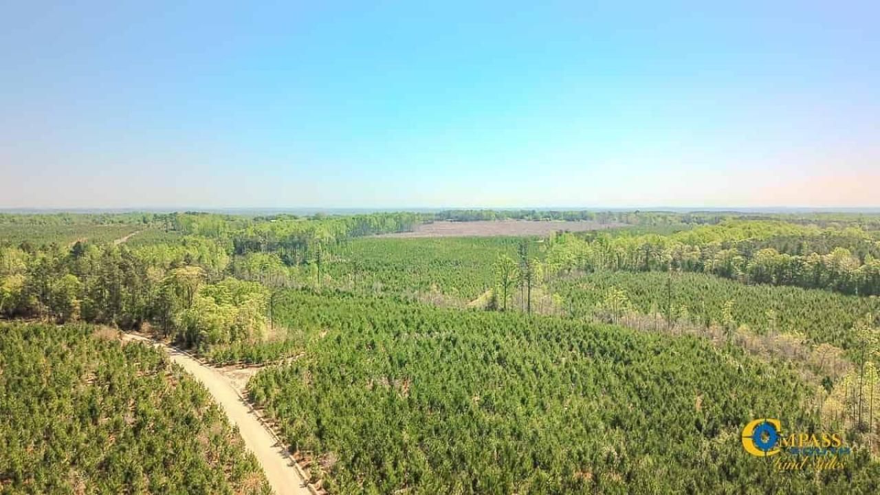 5659 Mt Pisgah Rd Photo 9