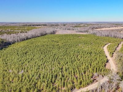 5659 Mt Pisgah Rd, Bethune, SC 29009