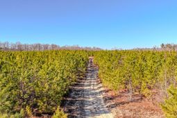 5659 Mt Pisgah Rd photo 4