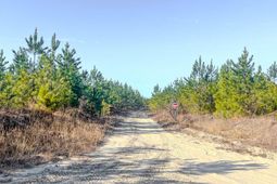 5659 Mt Pisgah Rd photo 4