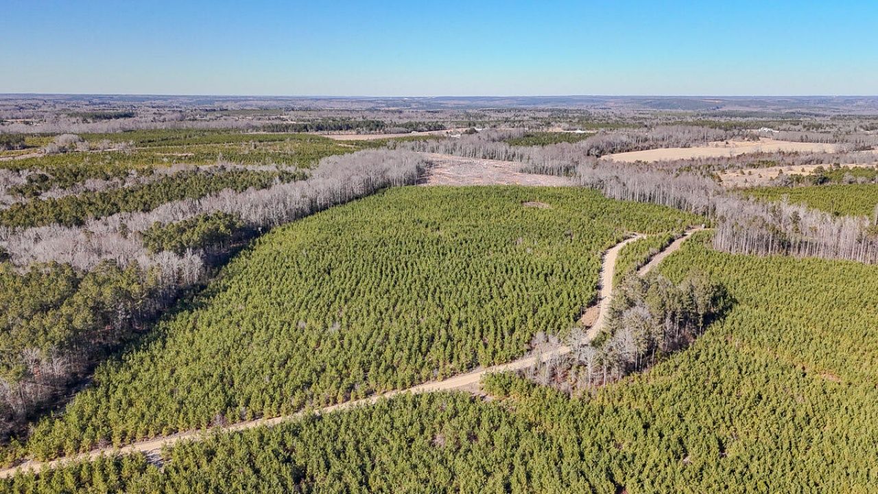 5659 Mt Pisgah Rd Photo 5