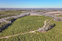 5659 Mt Pisgah Rd photo 4