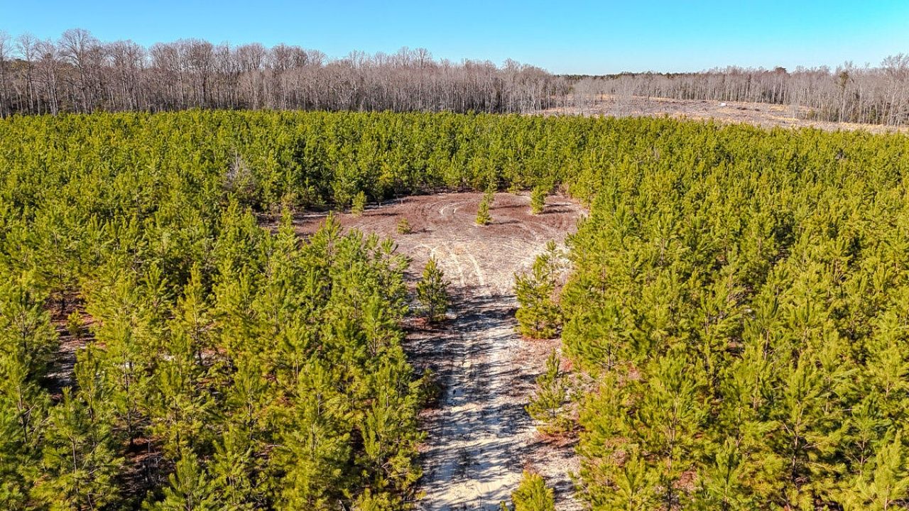 5659 Mt Pisgah Rd Photo 6