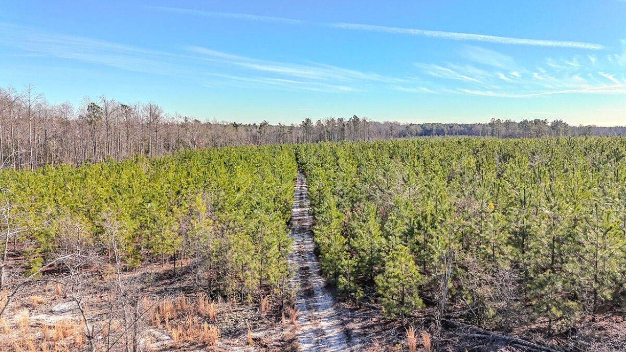 5659 Mt Pisgah Rd Photo 7