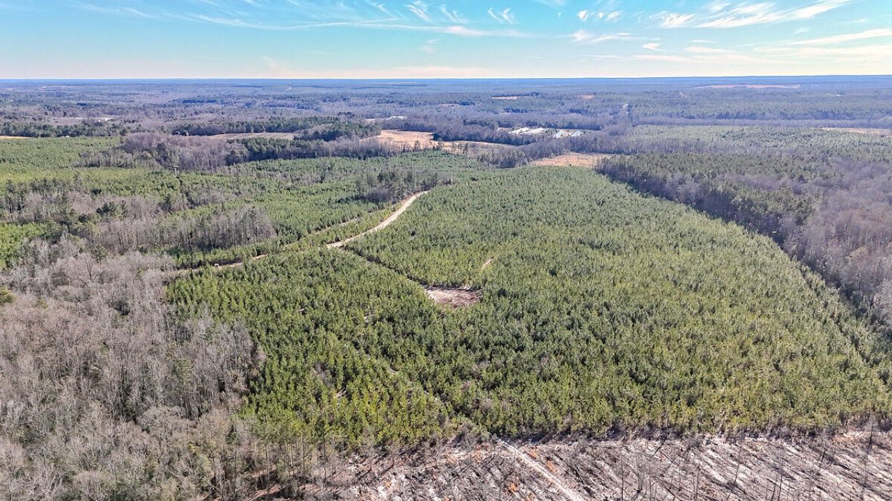 5659 Mt Pisgah Rd Photo 8