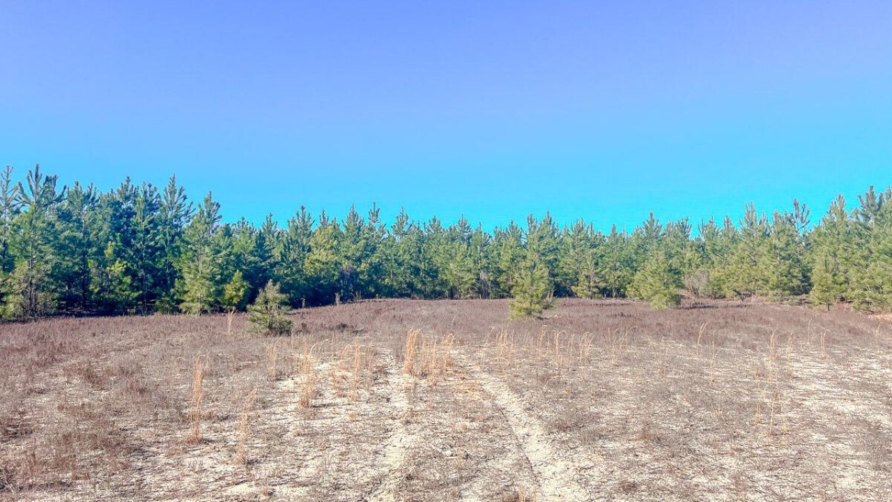 5659 Mt Pisgah Rd Photo 9