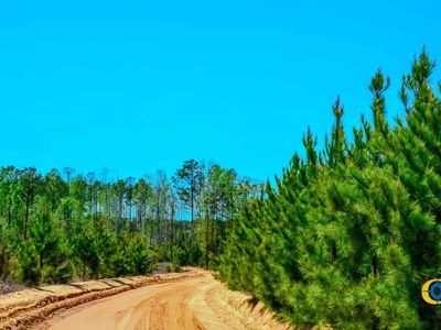 5659 Mt Pisgah Rd, Bethune, SC 29009