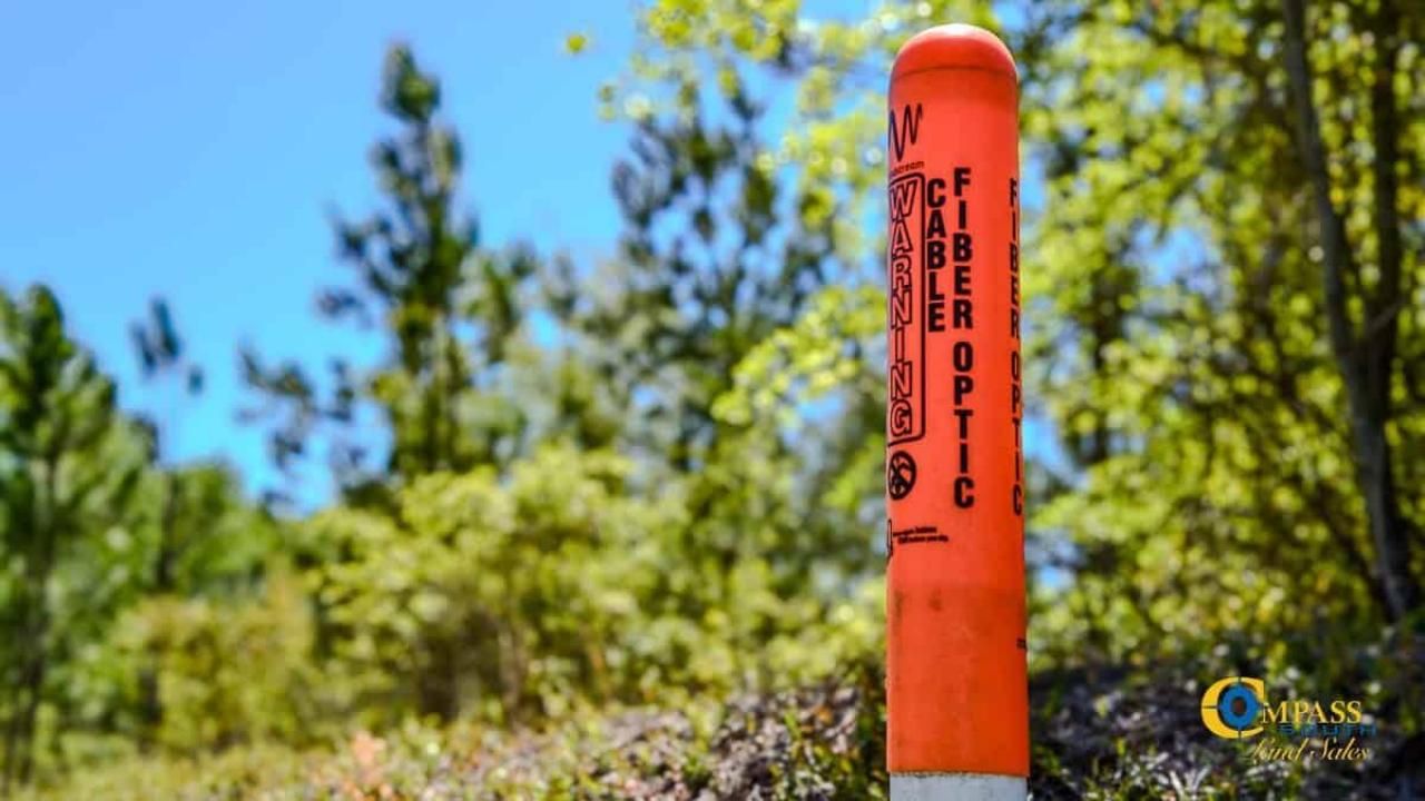 5659 Mt Pisgah Rd Photo 13