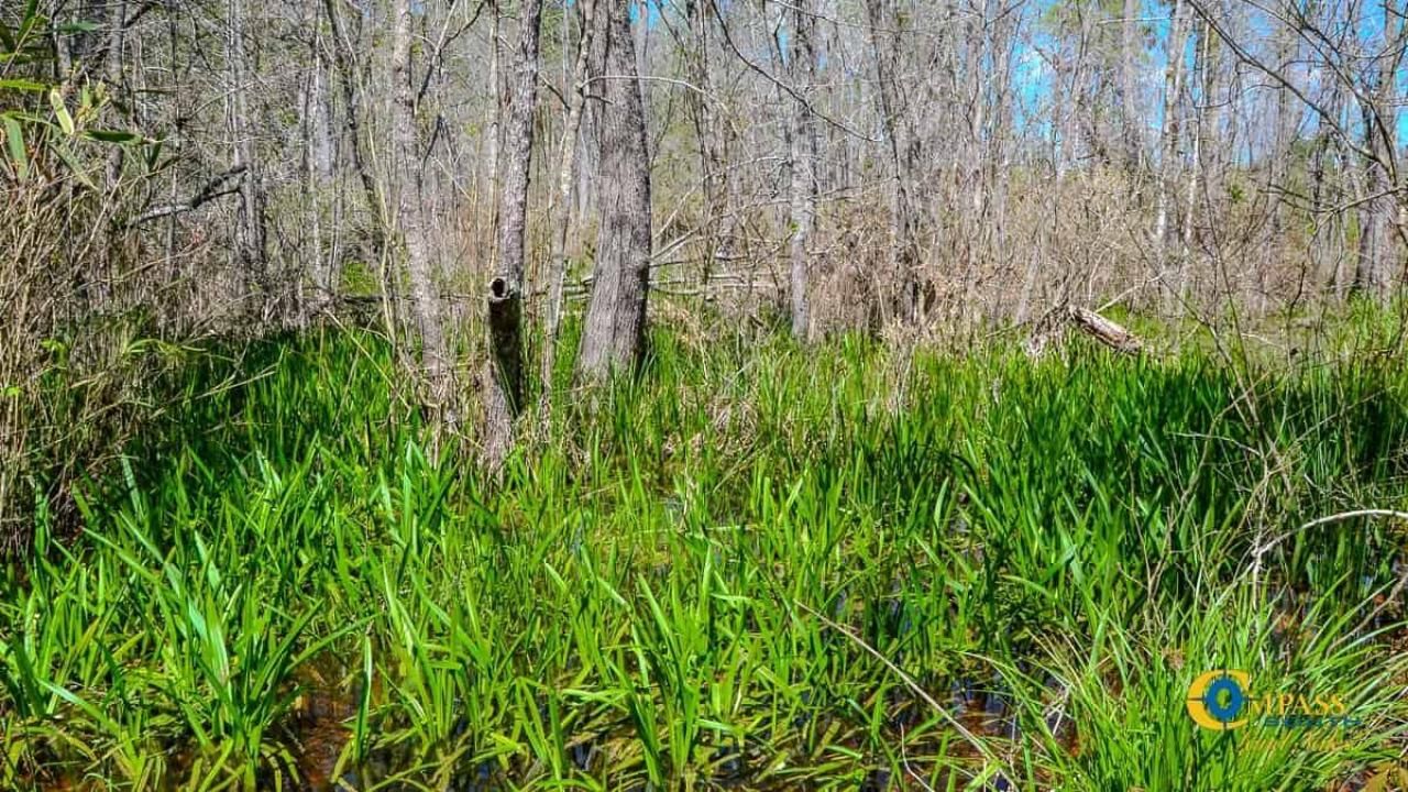 5659 Mt Pisgah Rd Photo 15