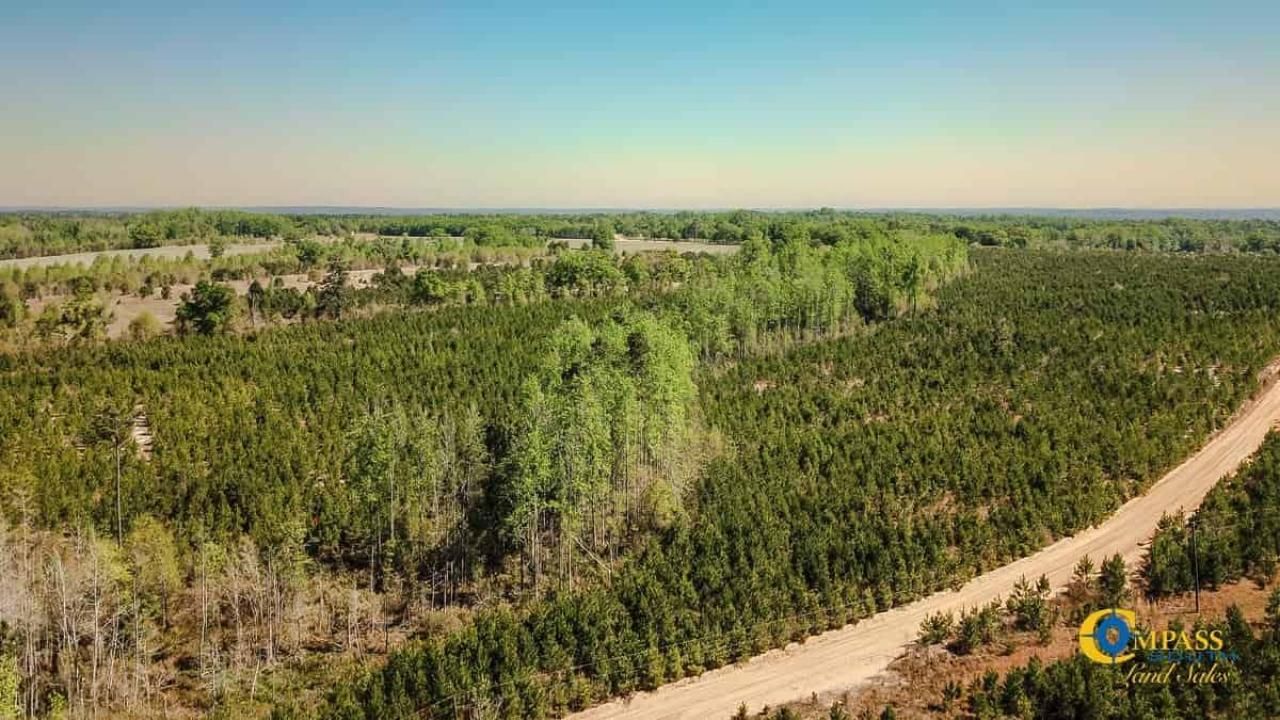 5659 Mt Pisgah Rd Photo 17