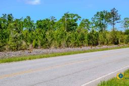 5659 Mt Pisgah Rd photo 4