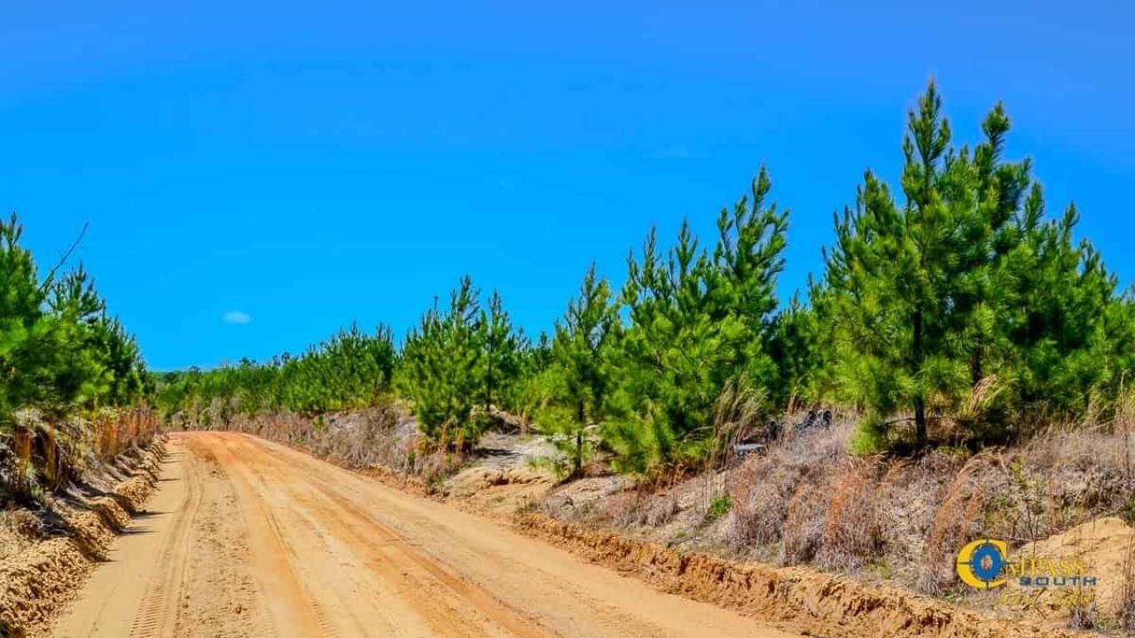 5659 Mt Pisgah Rd Photo 4