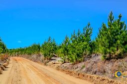 5659 Mt Pisgah Rd photo 4