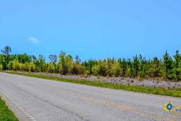 5659 Mt Pisgah Rd photo 4